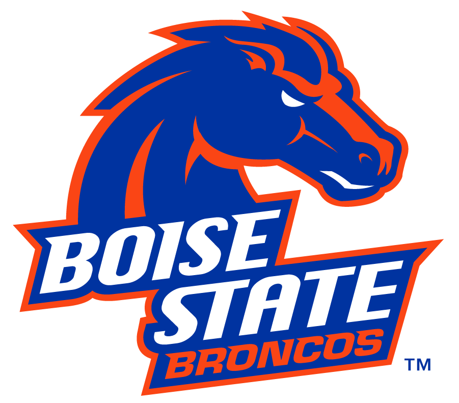 Boise State Broncos 2012-2013 Secondary Logo v2 iron on transfers for T-shirts